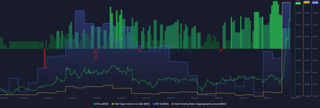 BSV rallies 66%, reaching 21-month high - 1