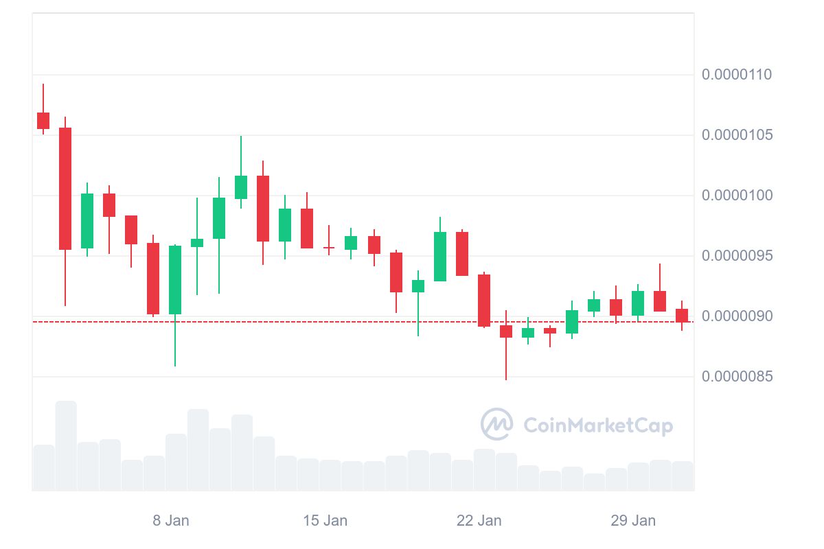 Will Shiba Inu eclipse Dogecoin? Predictions and forecast for 2024 - 1