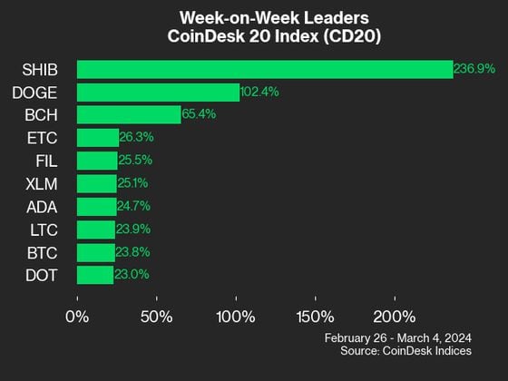 CD20 WoW Leaders