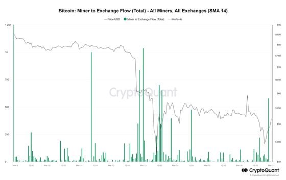 (CryptoQuant)