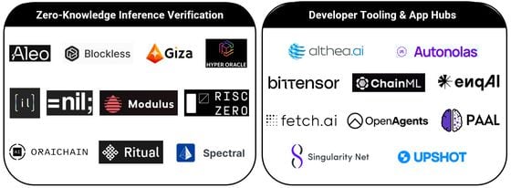 Zero-knowledge inference