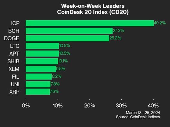 CoinDesk 20 leaders (CoinDesk Indices)