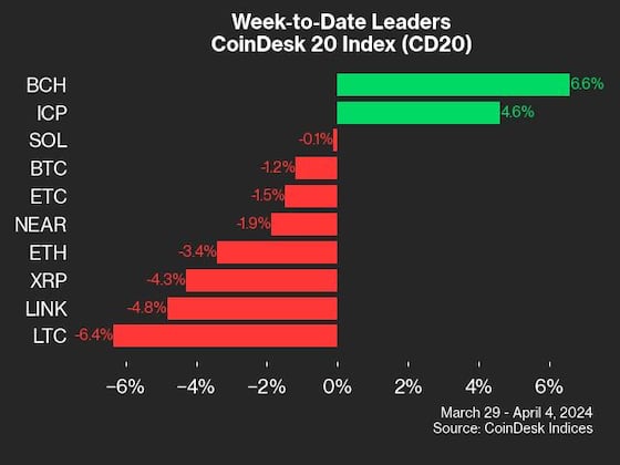 cd20 leaders