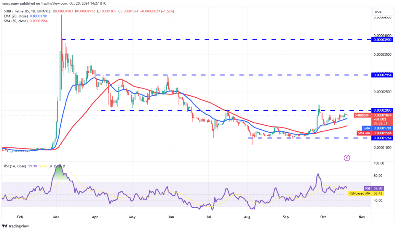 btc-tang-gia