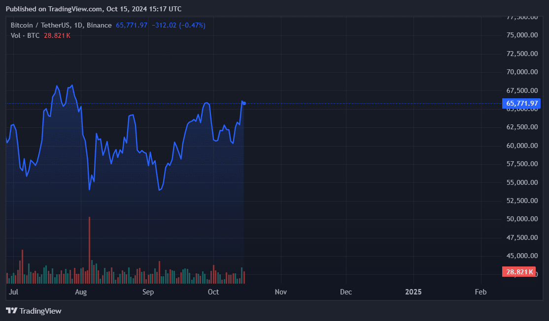 Bitcoin daily price chart