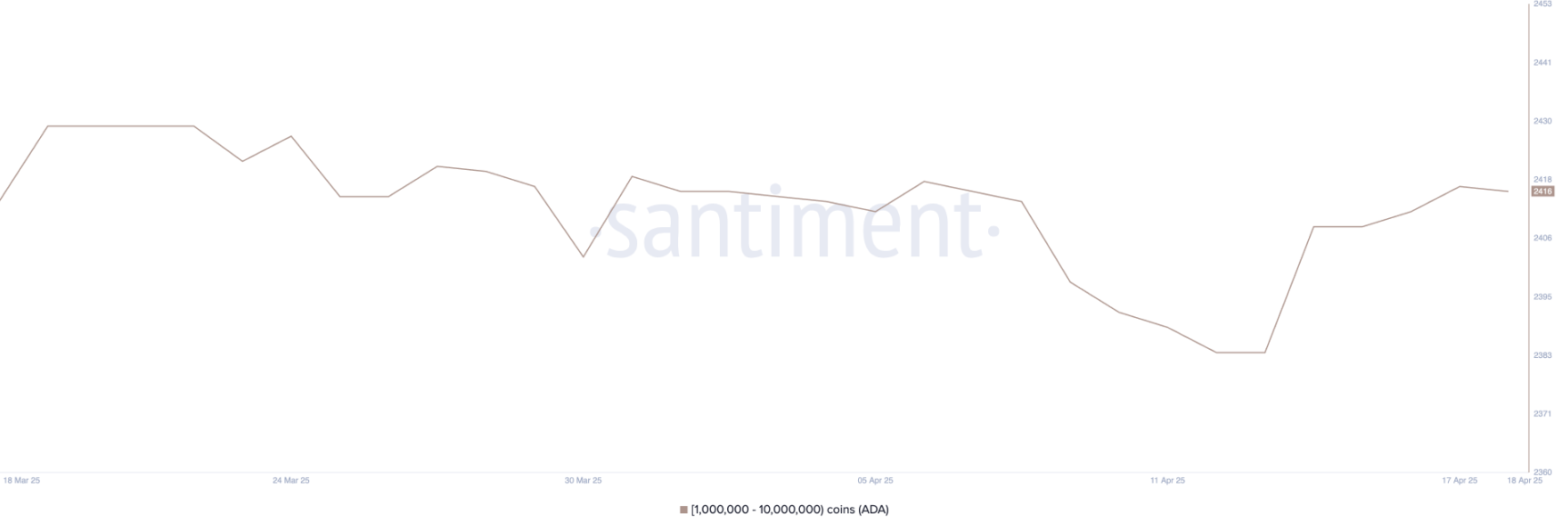 ada-tang-gia2-1 ada-tang-gia
