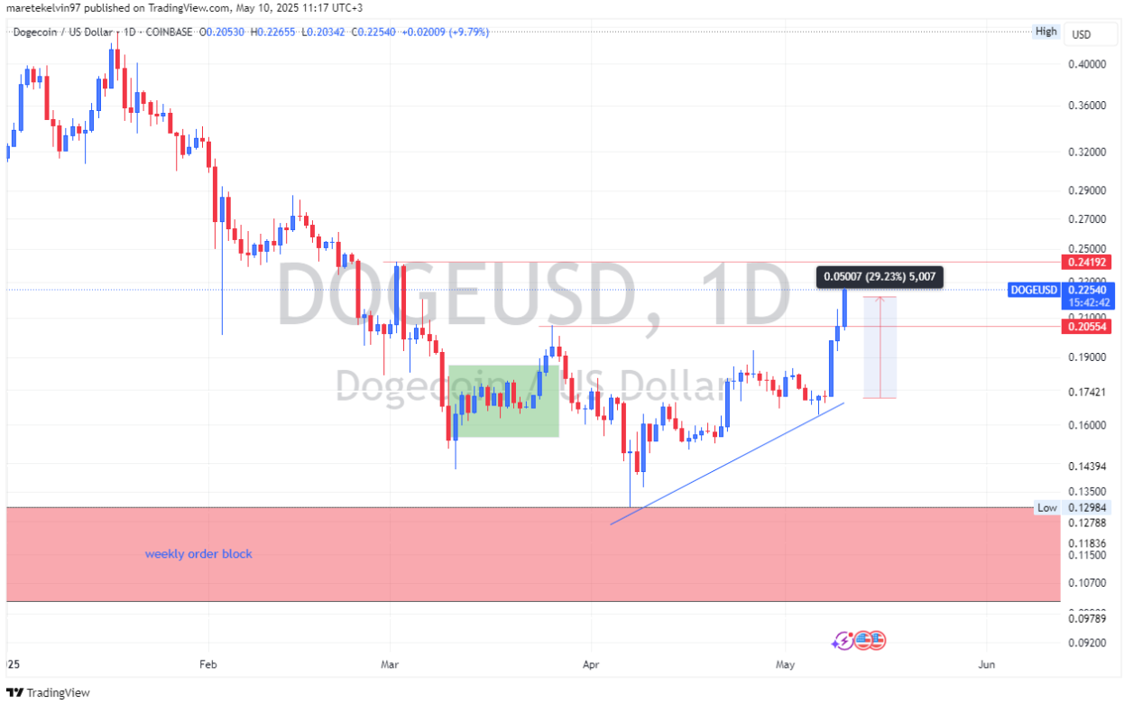 ca-voi-doge1-1 ca-voi-doge