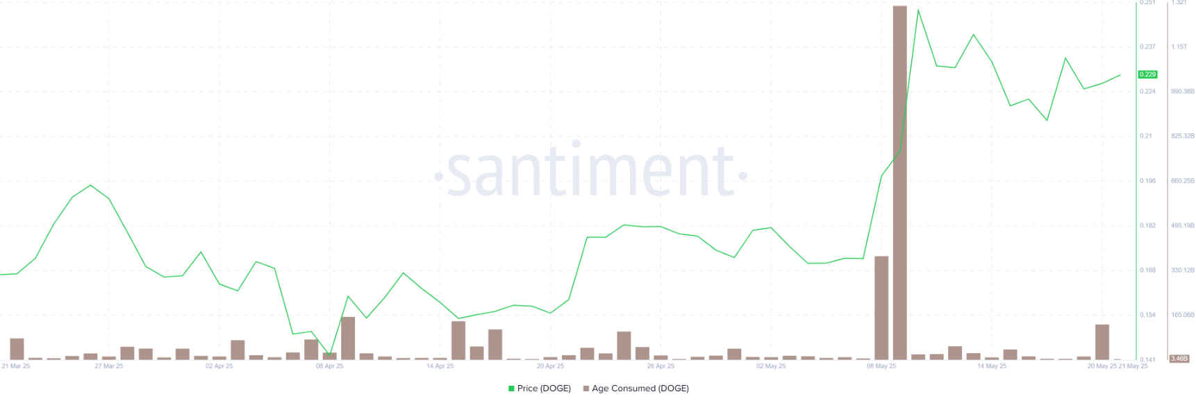 doge-shib-tang3 doge-shib-tang