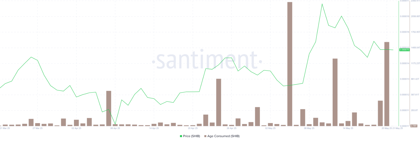 doge-shib-tang4 doge-shib-tang