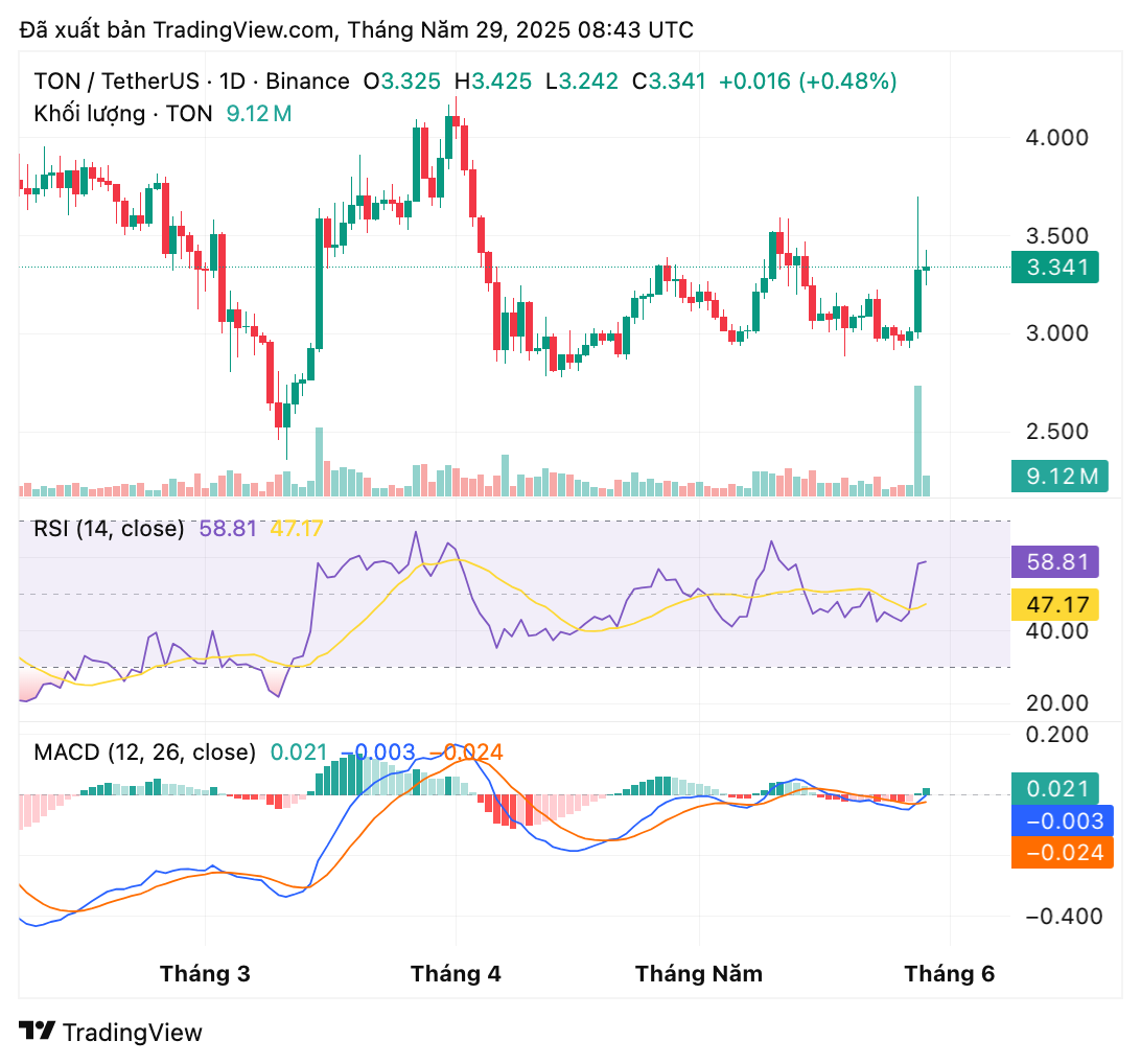 tonusdt_2025-05-29_15-43-41-1