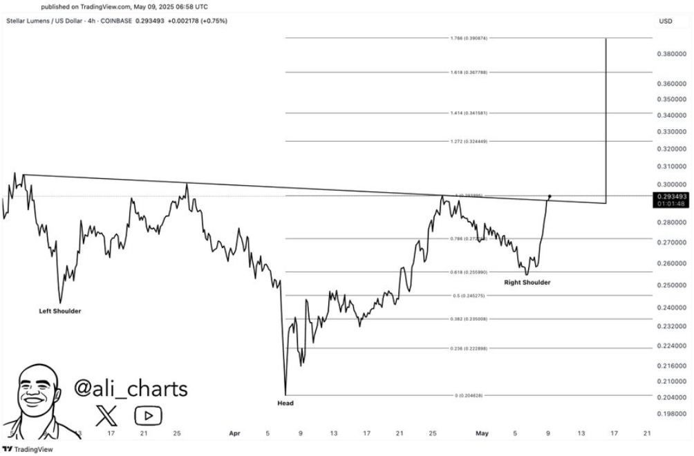 xlm-tang1-1 xlm-tang