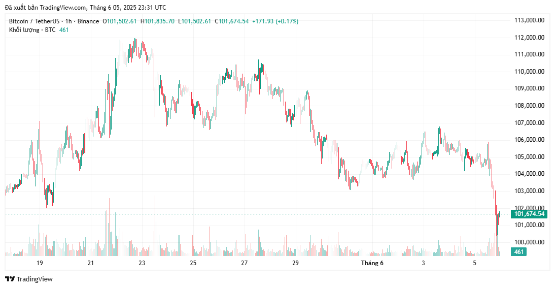 Phe bò Bitcoin phải bảo vệ mức hỗ trợ 95,6 nghìn đô la