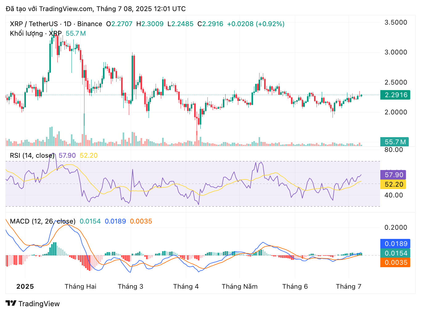 xrpusdt_2025-07-08_19-01-56-1