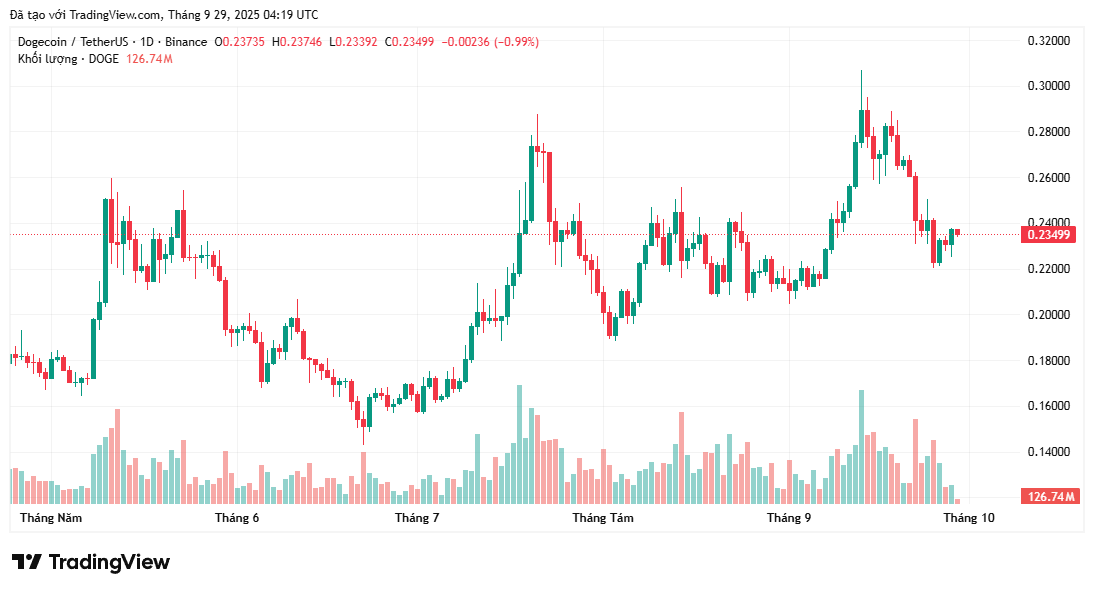 Giá Dogecoin (DOGE) sẽ tăng 30% hay sụp đổ?