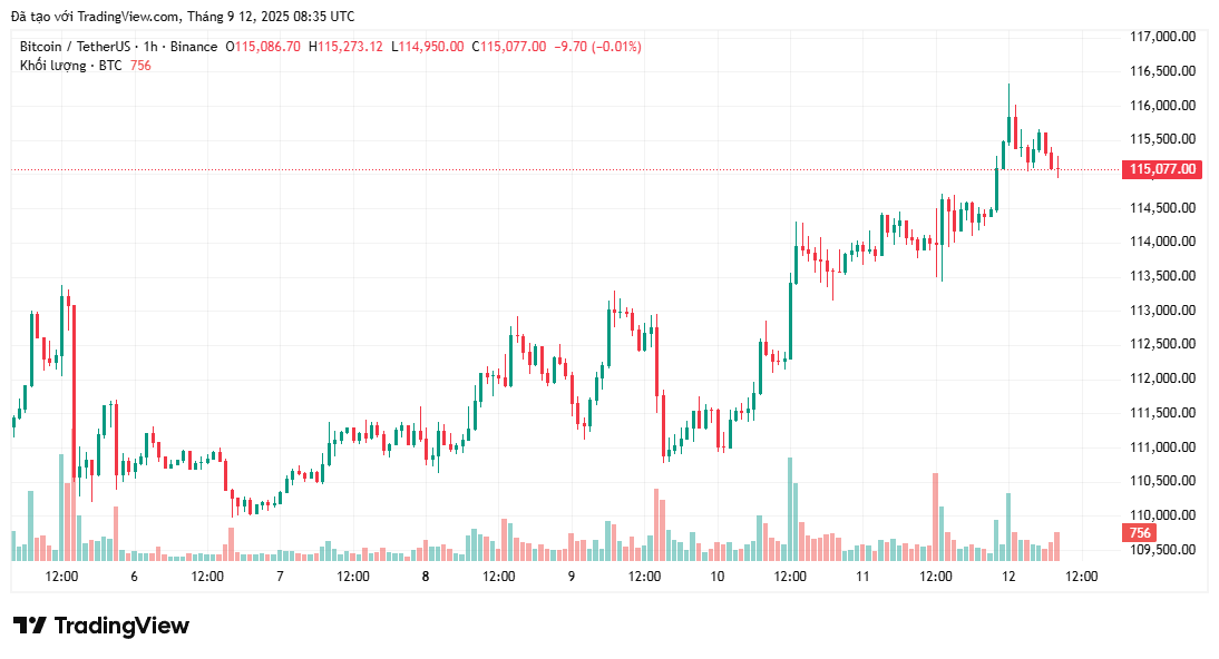 bieu-go-gia-btc 8 trong số 10 chỉ báo tăng giá của Bitcoin chuyển sang giảm giá mặc dù tăng vọt lên 116.000 đô la