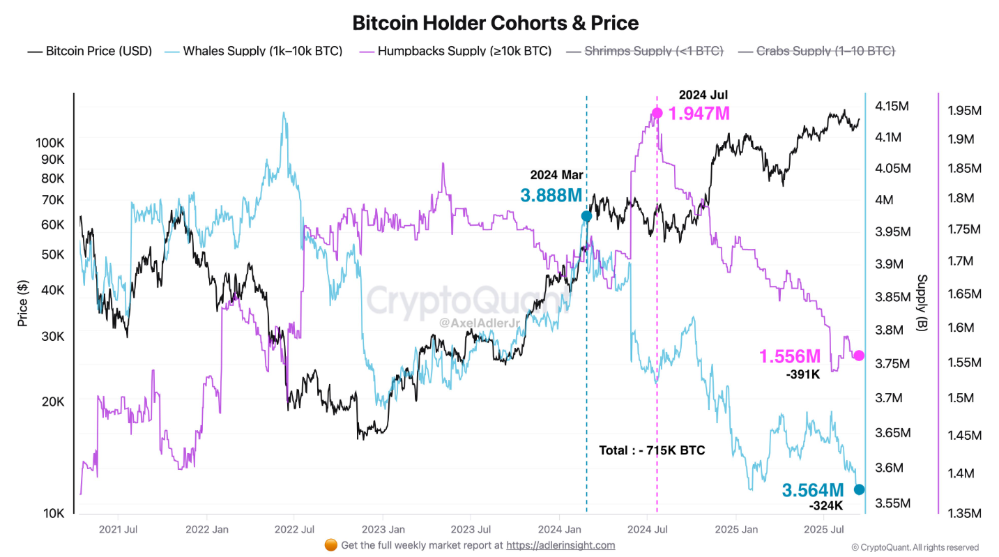 holder-btc-tapchibitcoin Giá Bitcoin xuống 113.000 đô la có thể là mức giảm giá lớn cuối cùng trước khi đạt mức cao mới