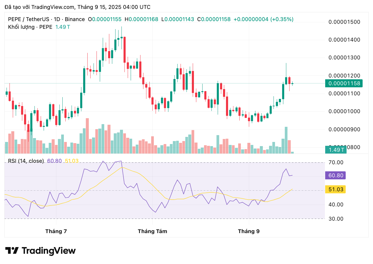 pepeusdt_2025-09-15_11-00-38