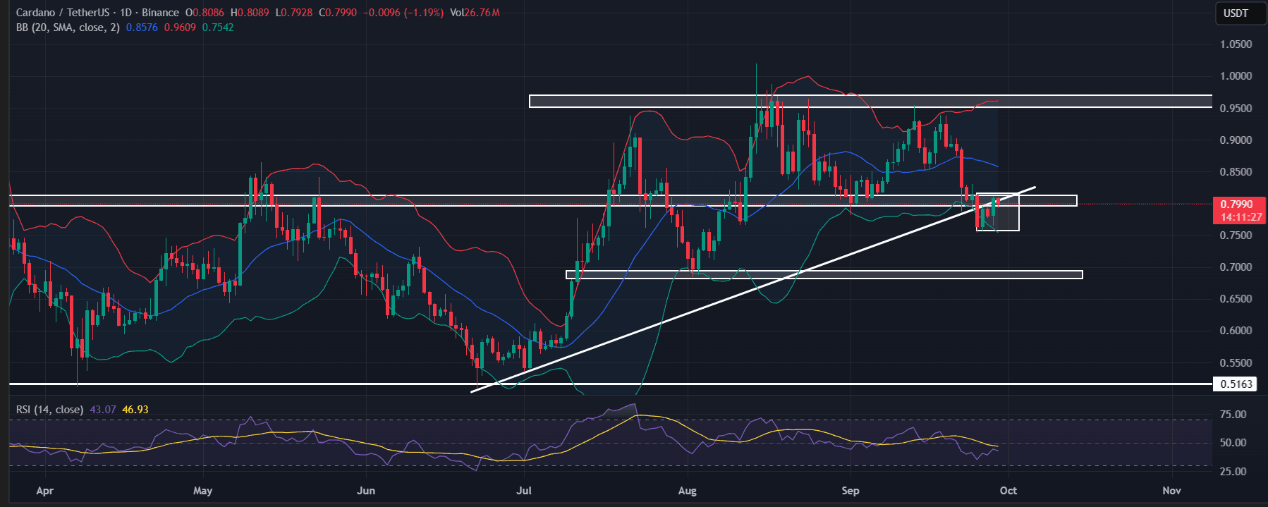 Liệu Cardano có còn giữ được sự cuồng nhiệt như năm 2021 không?