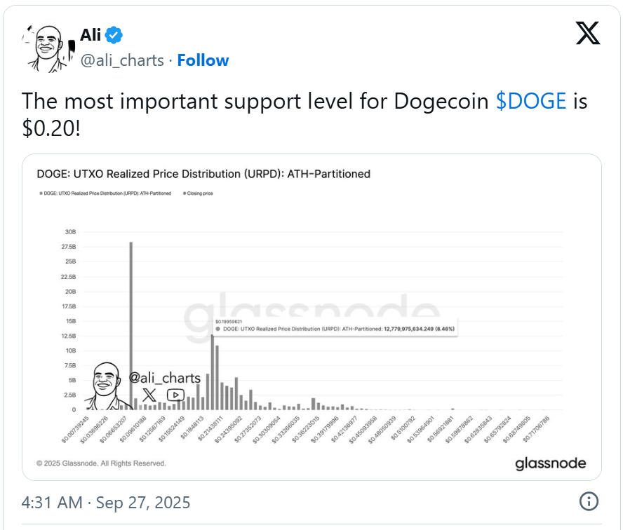 Giá Dogecoin (DOGE) sẽ tăng 30% hay sụp đổ?