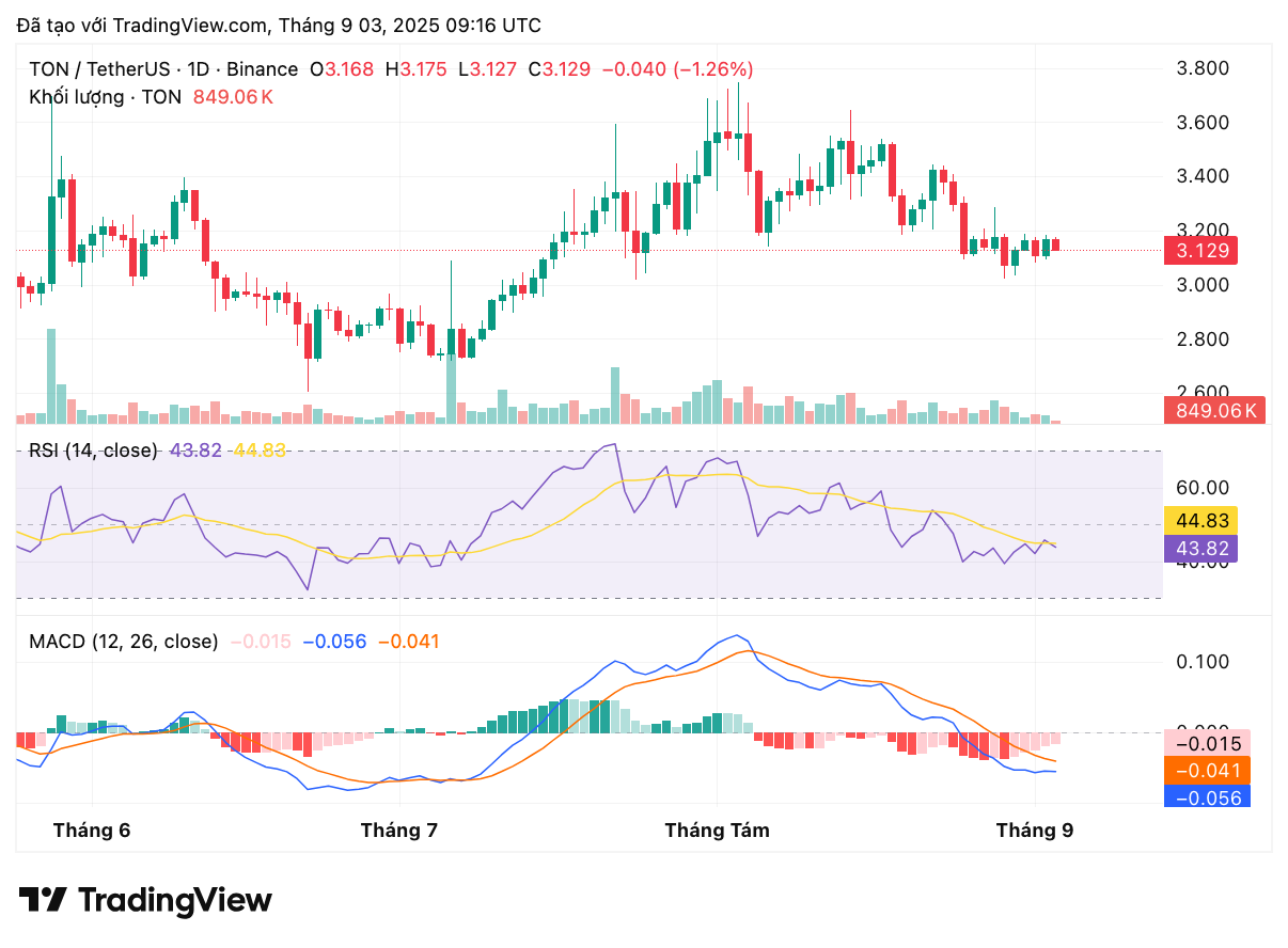 tonusdt_2025-09-03_16-16-27-1