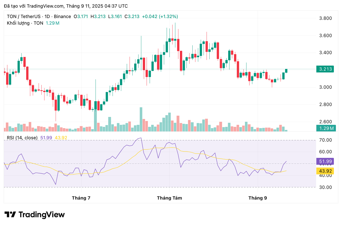 tonusdt_2025-09-11_11-37-07-1