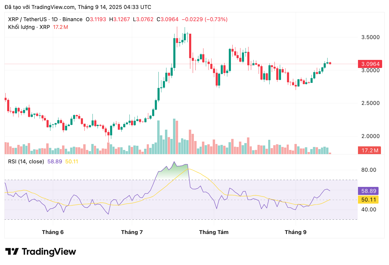 xrpusdt_2025-09-14_11-33-21-1