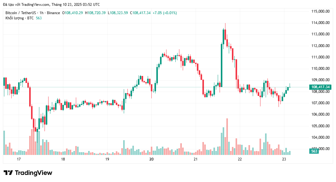 Novogratz: Bitcoin cần phải có 'sự kiện bất ngờ' để đạt 250.000 đô la trong năm nay