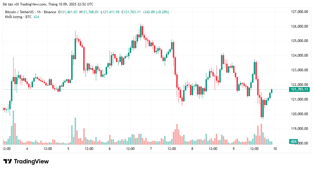 bieu-do-gia-btc-coinphoton-7-1 Bitcoin giảm xuống dưới 120.000 đô la kích hoạt cảnh báo về khả năng giảm thêm 10%