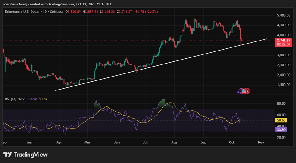 Giá Ethereum có thể sẽ phục hồi mạnh mẽ?