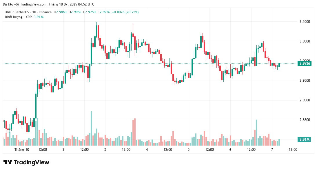 bieu-do-gia-xrp-coinphoton-1 XRP đang phản ánh xu hướng năm 2017 và 2021 – Liệu lịch sử có lặp lại?