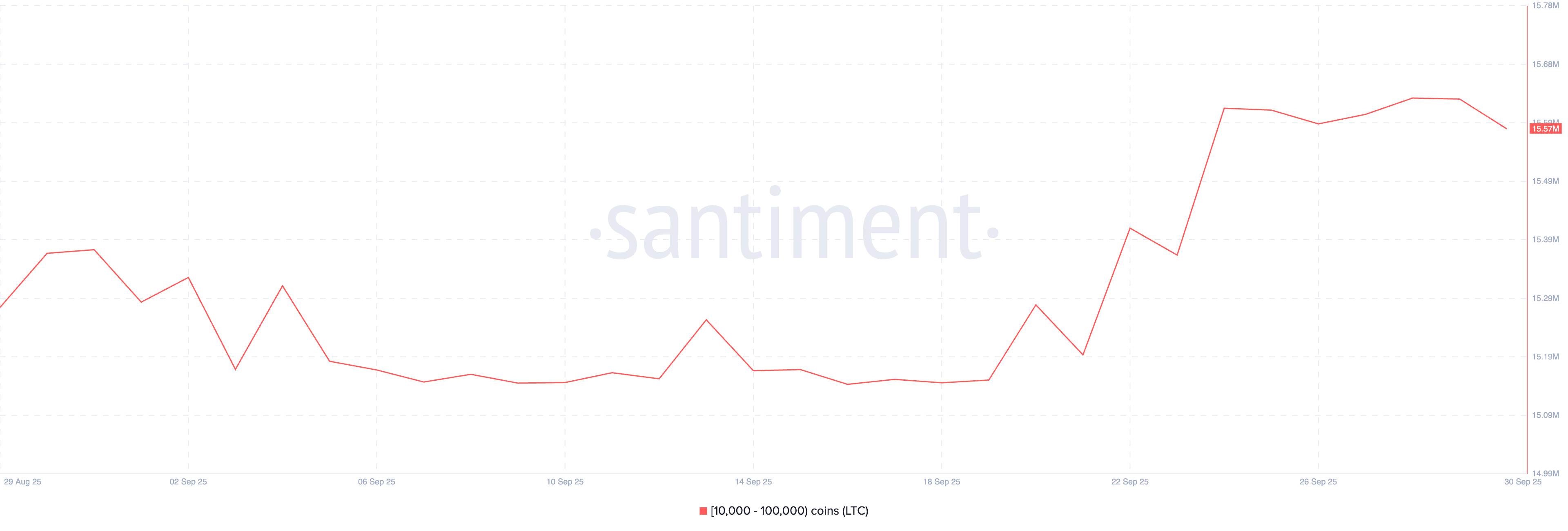 ca-voi-tien-dien-tu-coinphoton-1 Những gì các cá voi tiền điện tử đang mua để kiếm lời trong tháng 10