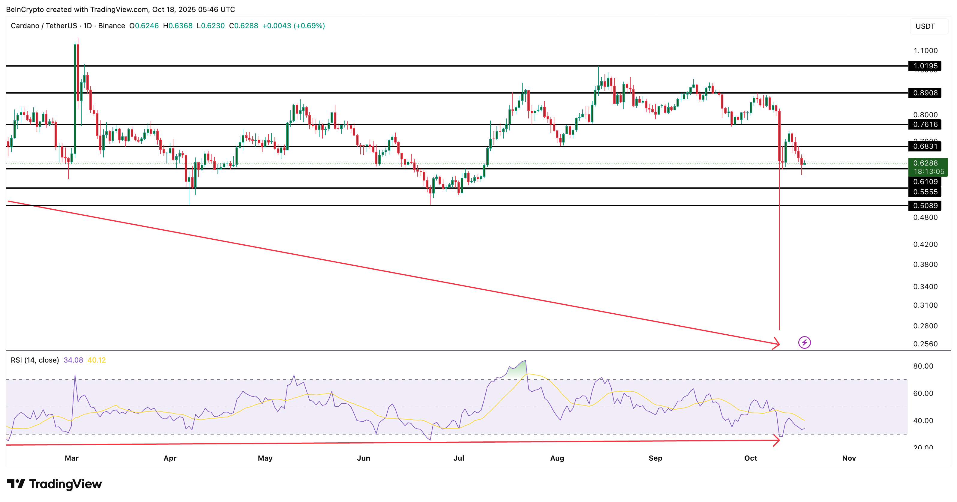 ca-voi-tien-dien-tu-coinphoton-15 Top 3 altcoin cá voi đang tích lũy trước khi cắt giảm lãi suất vào tháng 10