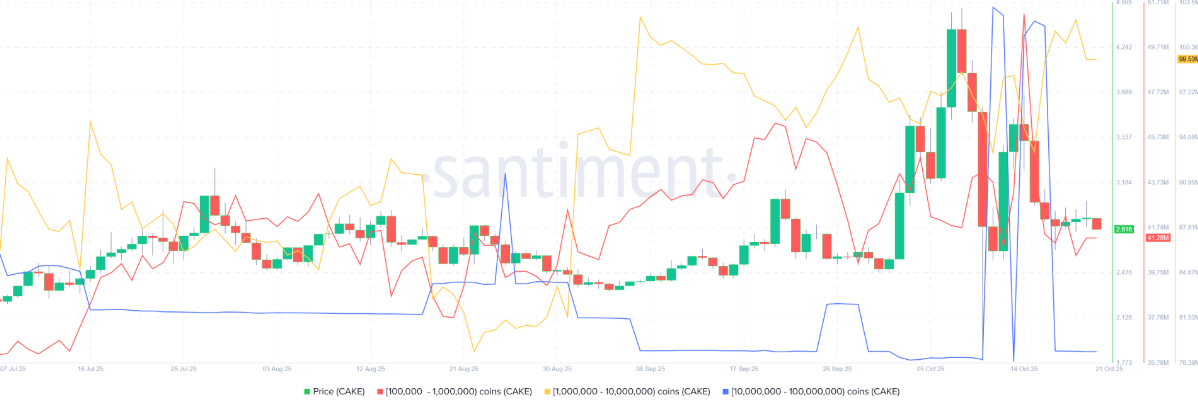 cake-giam2 cake-giam