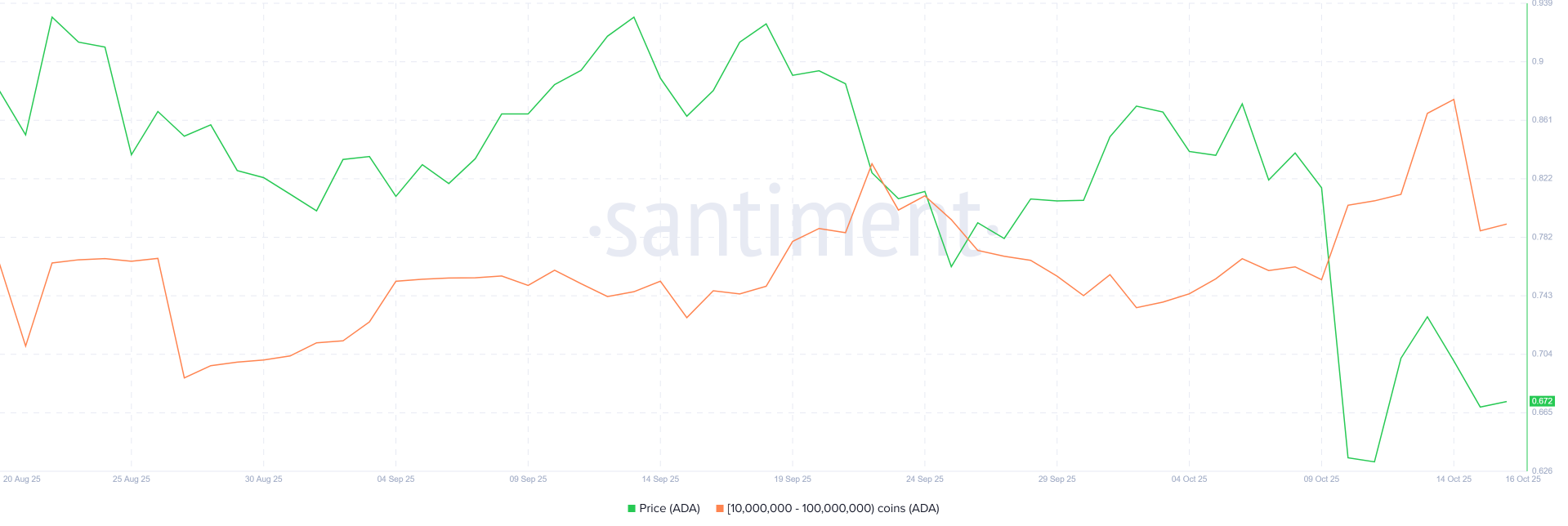 Dòng tiền vào Cardano đạt mức cao nhất trong 3 tháng