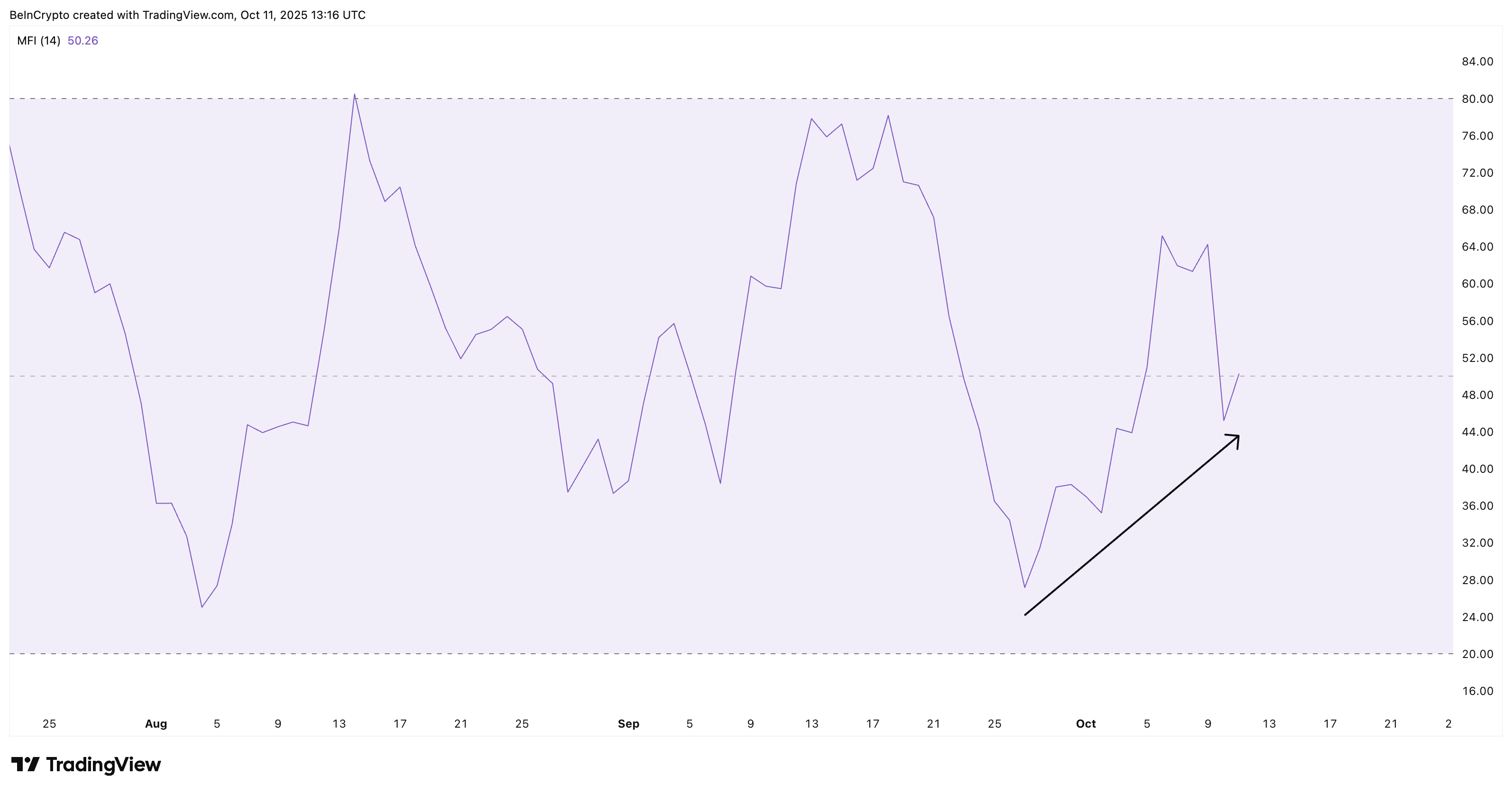 Cá voi và nhà đầu tư bán lẻ ủng hộ giá Cardano (ADA) phục hồi bất chấp tín hiệu giảm giá