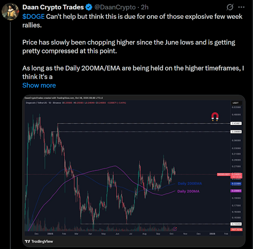 Điều này có thể mang lại động lực khi giá Dogecoin (DOGE) đang gặp khó khăn