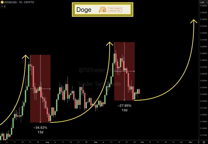 Gợi ý của chuyên gia hàng đầu về mức tăng 90% của Dogecoin