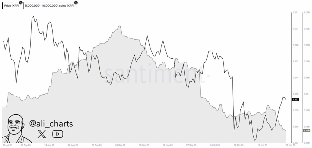 Giá XRP có nguy cơ sụp đổ lần nữa khi “cá voi” chốt lời không?