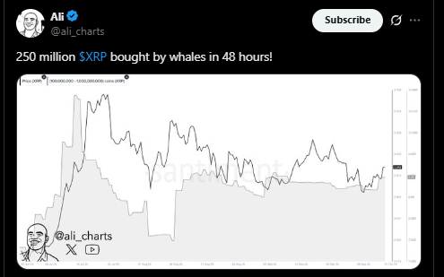 Giá XRP có thể đạt 10 đô la trong bối cảnh ETF rầm rộ và tính minh bạch về mặt pháp lý không?