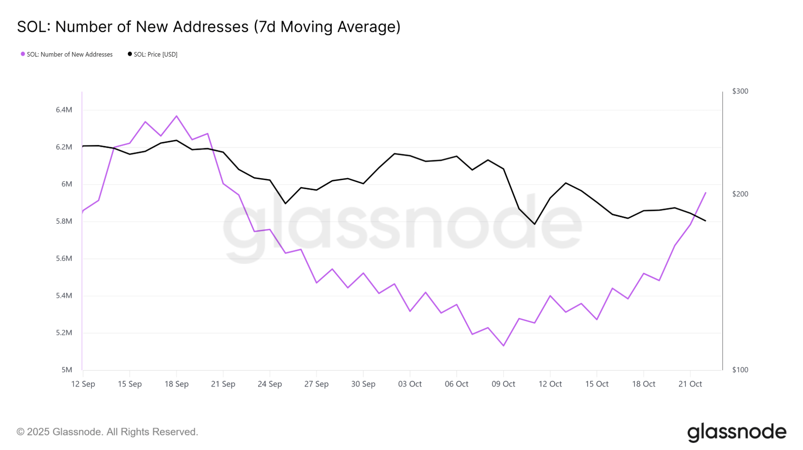Solana chuẩn bị tăng giá khi địa chỉ mới đạt mức cao nhất trong tháng