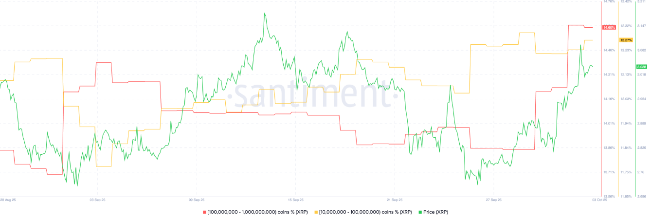xrp-tang1-1-2 xrp-tang