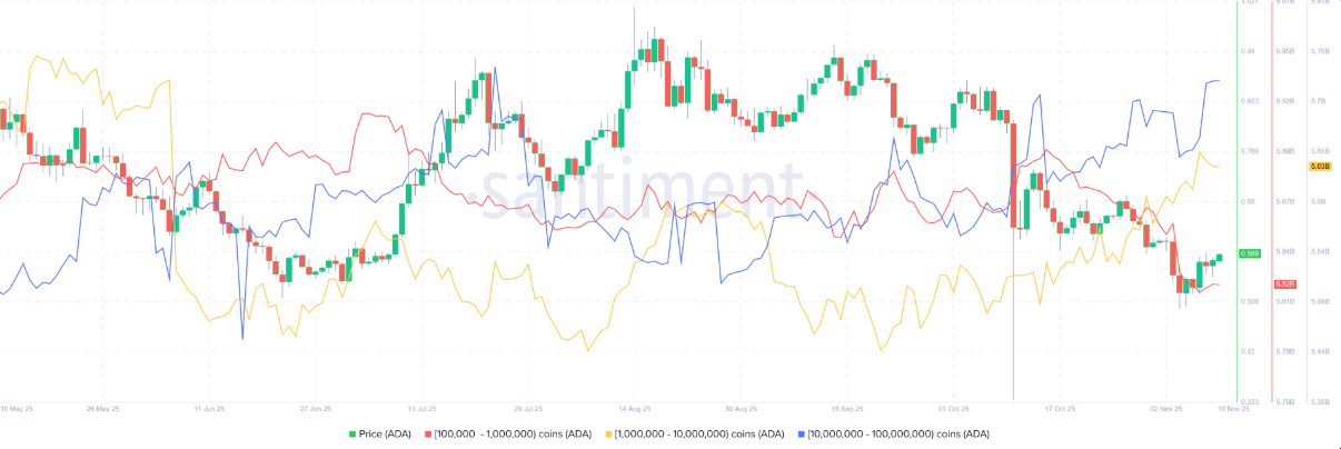 ada-phuc-hoi1-1 ada-phuc-hoi