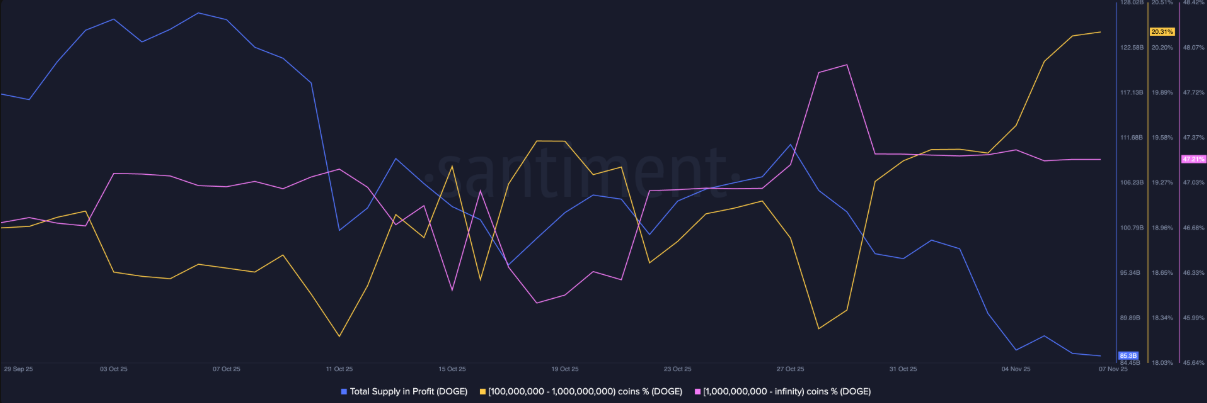 doge-phuc-hoi2 doge-phuc-hoi