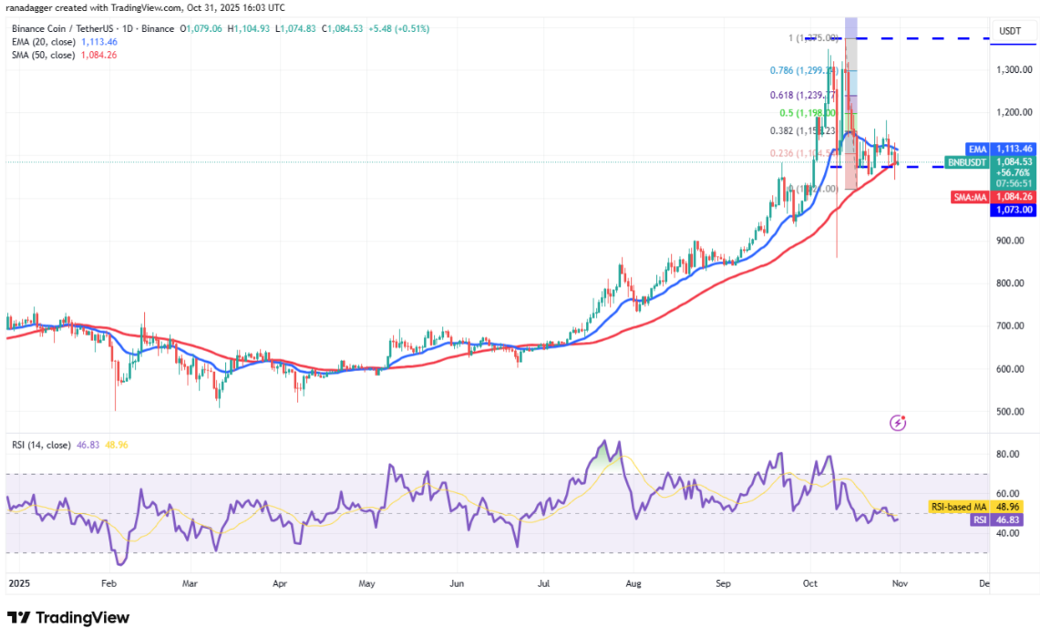 ngay-1-11-phan-tich3