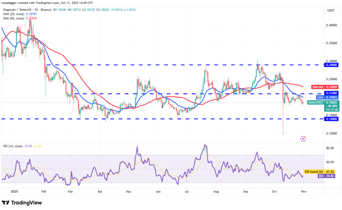 ngay-1-11-phan-tich6
