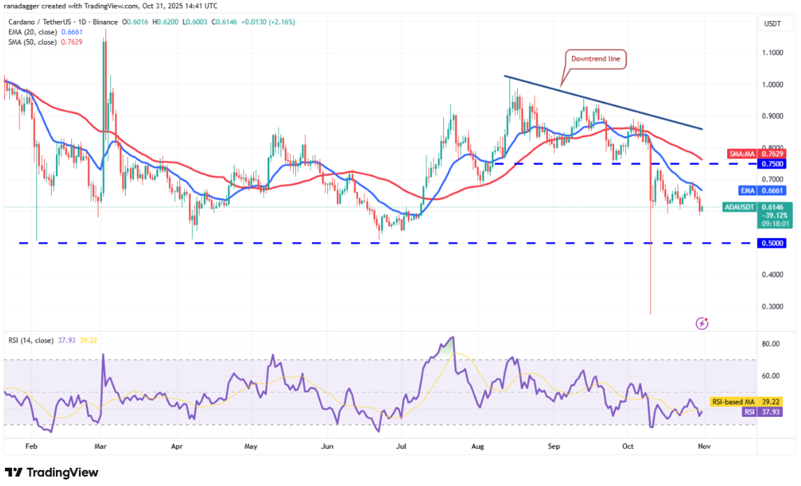ngay-1-11-phan-tich7