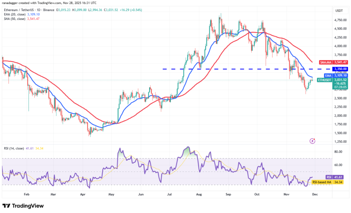 ngay-19-11-phan-tich