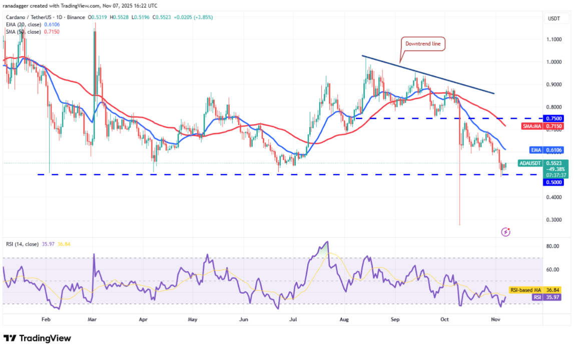 ngay-8-11-phan-tich7