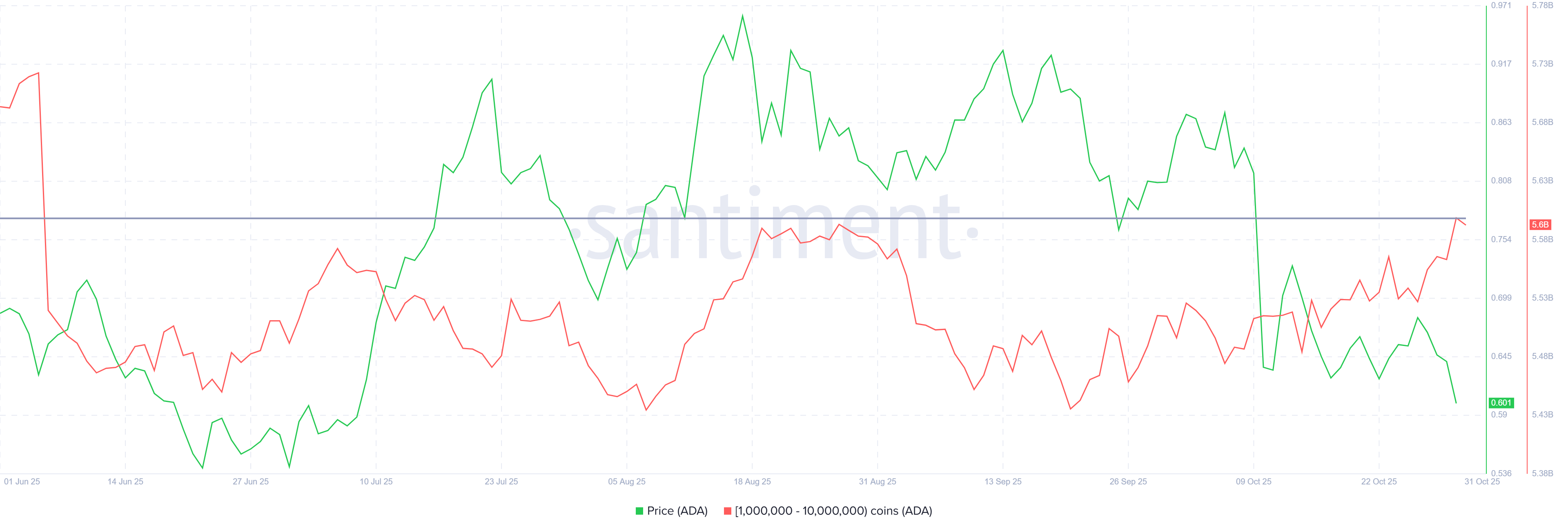 phan-tich-gia-ada-coinphoton-1 Lượng ADA do cá voi nắm giữ tăng lên mức cao nhất trong 5 tháng ngay cả khi giá giảm xuống còn 0,6 đô la