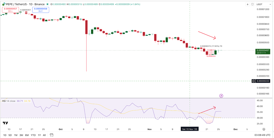 Giá PEPE vẫn có nguy cơ giảm 18% dù cá voi tăng cường tích lũy